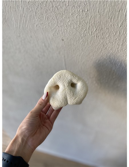 Morro de cerdo puffed XL