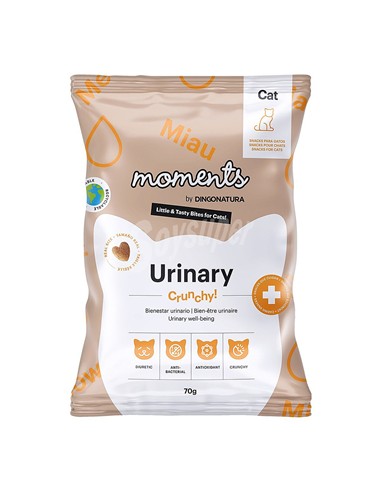 Moments urinary 70gr