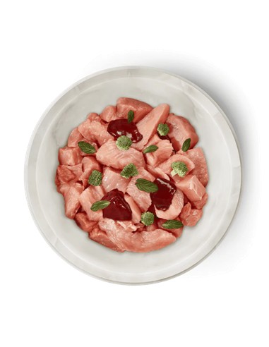 Terra felis conejo y pavo 80gr