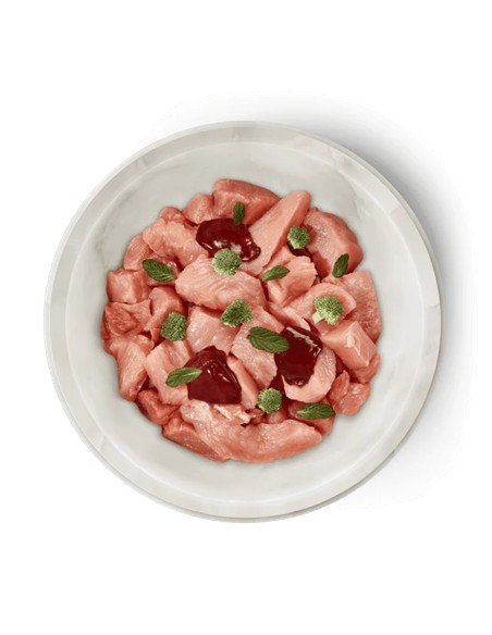 Terra felis conejo y pavo 80gr