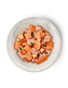 Terra felis salmón y pollo 80gr 2