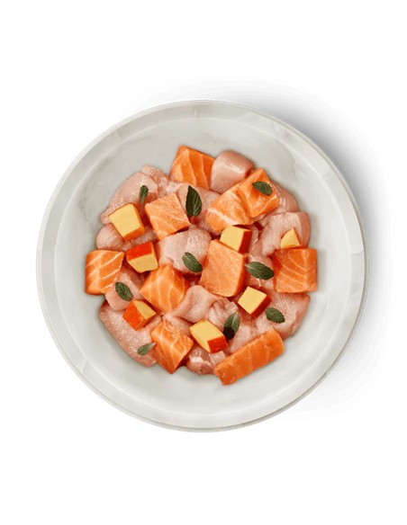 Terra felis salmón y pollo 80gr