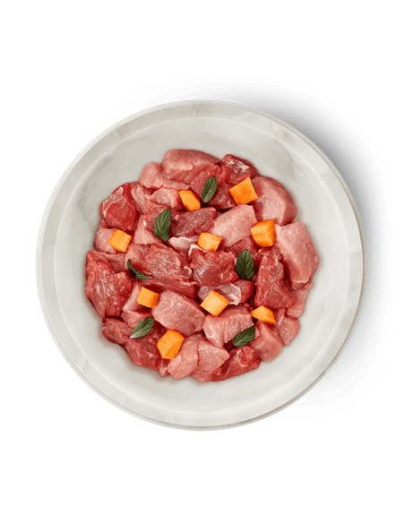 Terra felis buey y conejo 80gr