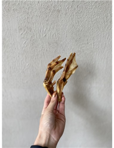 Patas de pato