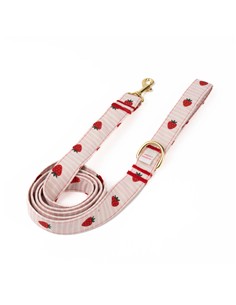 B DE BRUNO CORREA STRAWBERRY