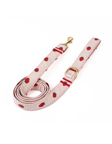 B DE BRUNO CORREA STRAWBERRY