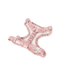 B DE BRUNO ARNÉS MAUVE S 2