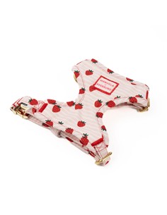 B DE BRUNO ARNÉS STRAWBERRY XS