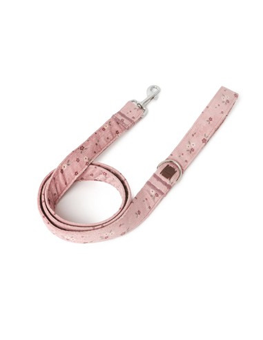 B DE BRUNO CORREA MAUVE