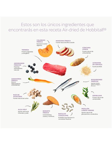 HOBBITALF SUPERFOOD CAT BOQUERÓN TERNERA 800gr
