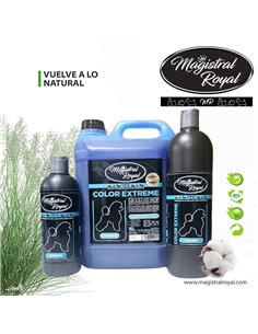 MAGISTRAL ROYAL CHAMPÚ EXTREME 1L