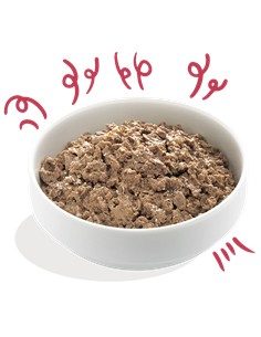 Edgar cooper ecológica ternera 100gr 2