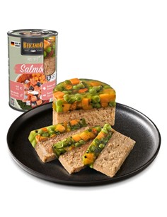 BELCANDO HOLISTIC SALMÓN 400gr 2