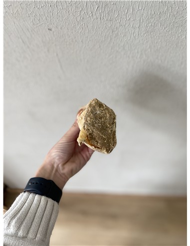 PEZUÑA RELLENA DE CARNE