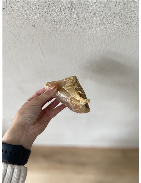 PEZUÑA RELLENA DE CARNE