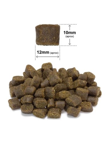 ARQUIVET FRESH FREE RUN DUCK 10kg