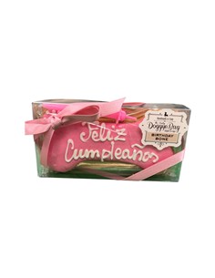 DOGGYEBAG HUESO CUMPLEAÑOS ROSA