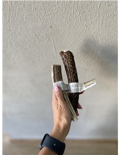 ANTLEWORLD ASTA DE CIERVO XL