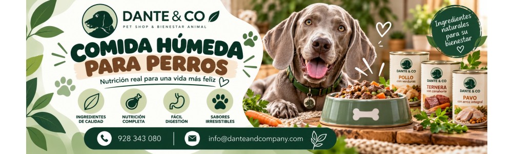 Comida Húmeda