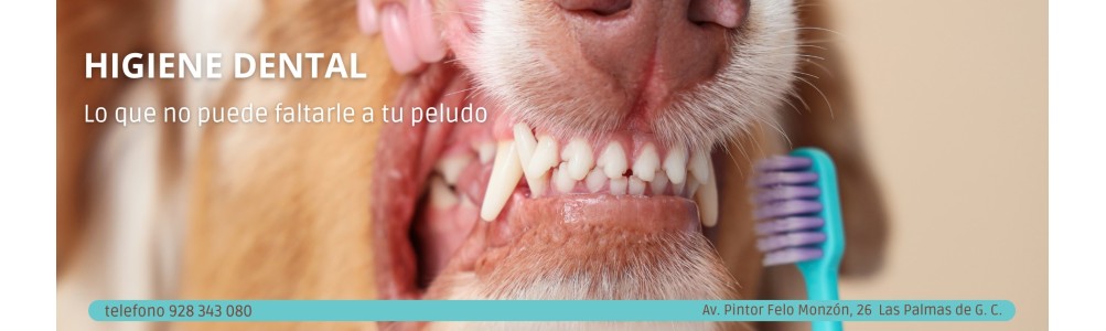Higiene Dental