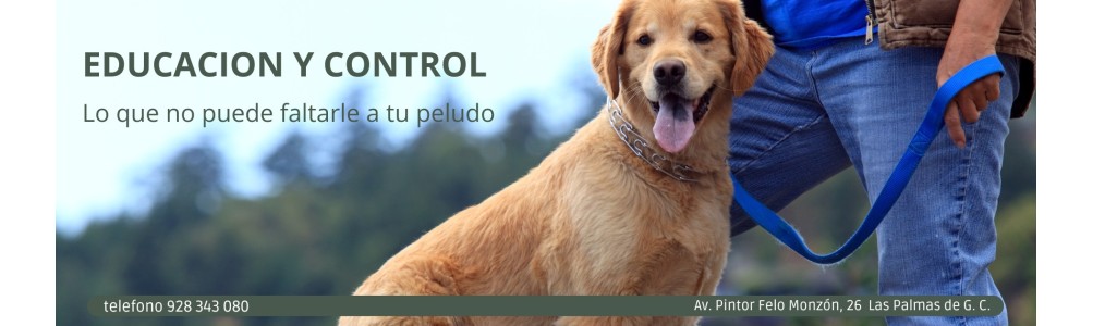 Educación y control